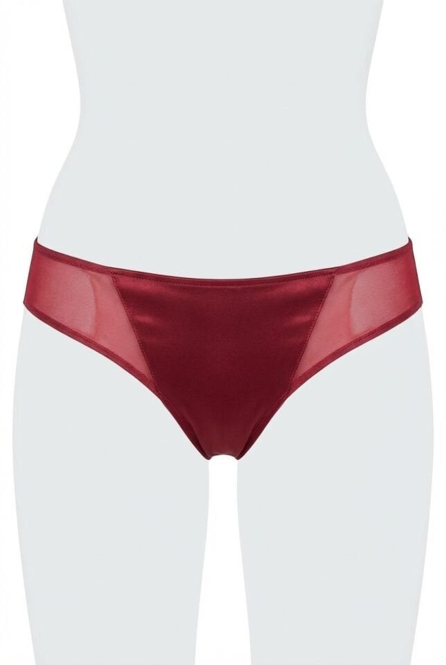 Kadın Mikro Kumaş Tüllü Slip