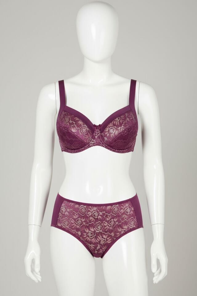 Arias Closet Balenli Desteksiz Dolgusuz Toparlayıcı Dantelli Küçültücü Sütyen ve Külot Takım