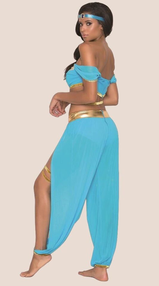 Arias Closet Fantezi Mavi Dansöz Kostümü