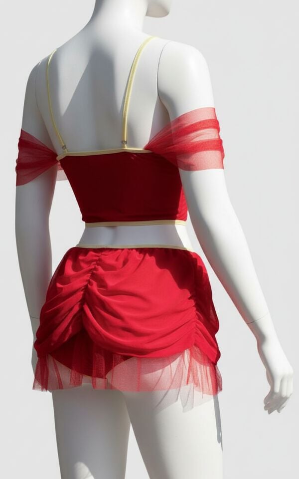 Arias Closet Mini Etekli Fantezi Bustiyerli Takım