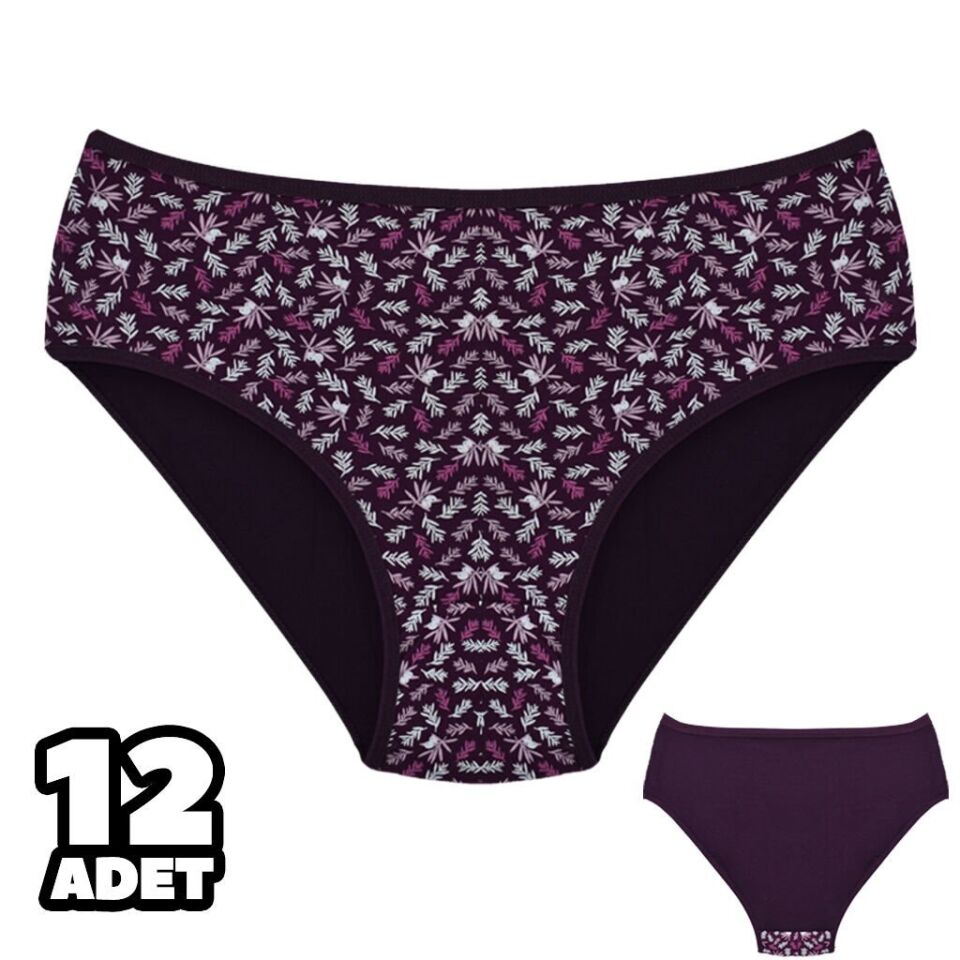 Dondeza 201-138 Desenli Bayan Ara Beden Külot 12'li