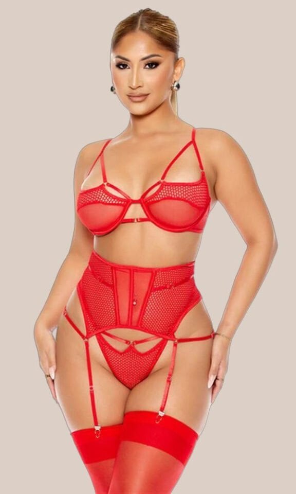 Arias Closet Fantezi File Tül Detaylı Kırmızı Jartiyer  Takım