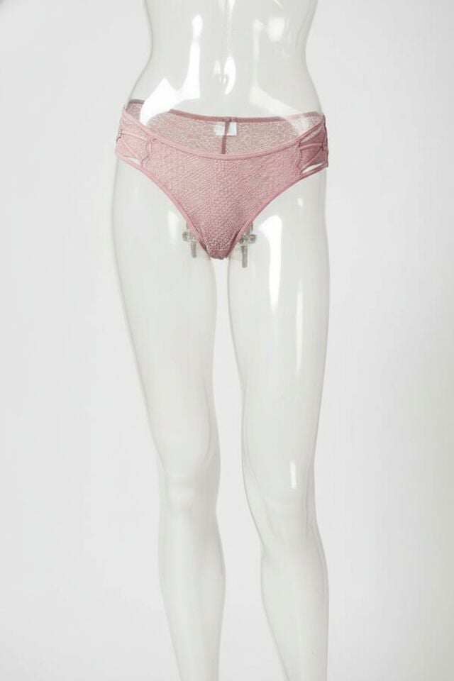 Arias Closet Transparan Dantel Detaylı Pudra Külot