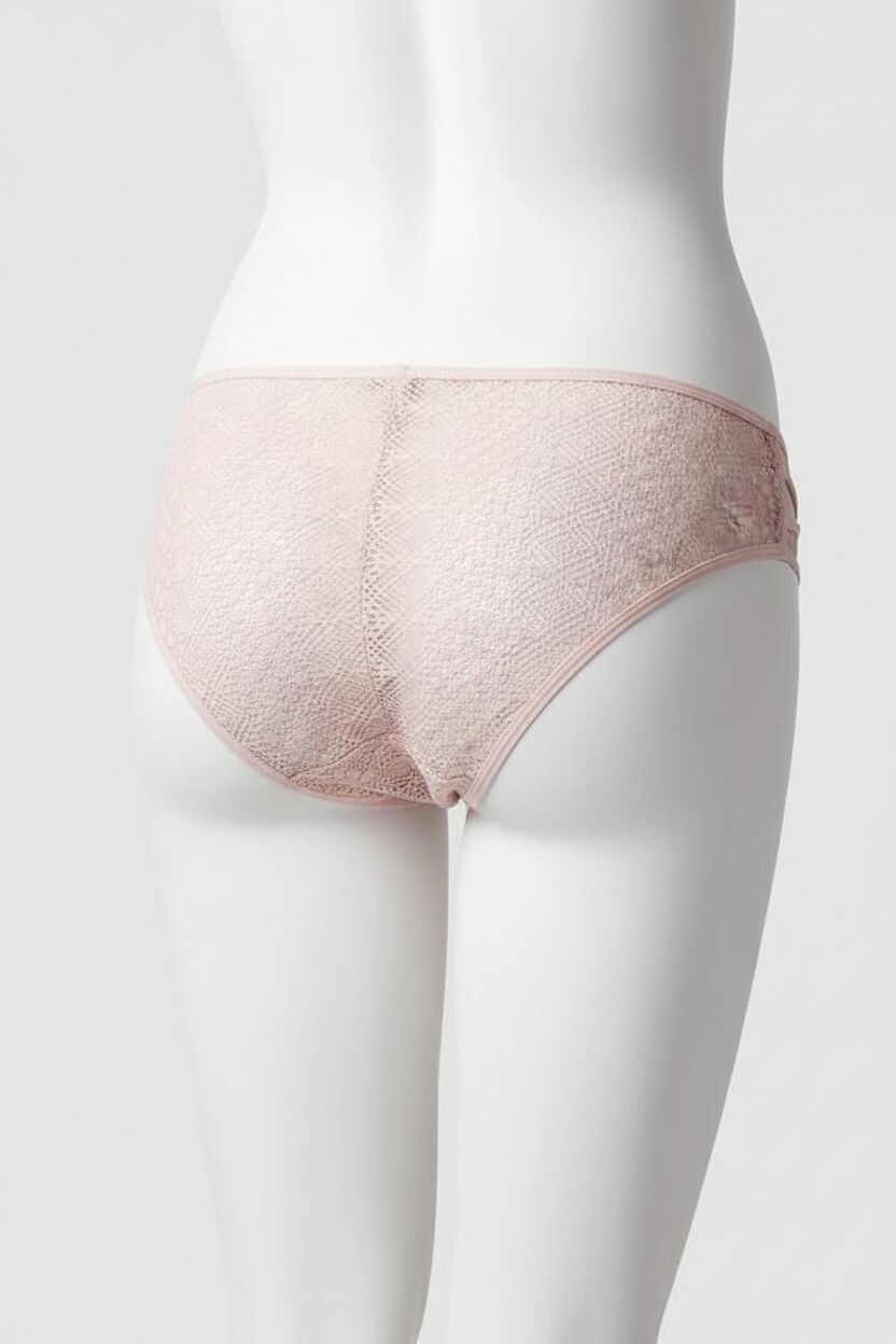 Arias Closet Transparan Dantel Detaylı Somon Külot