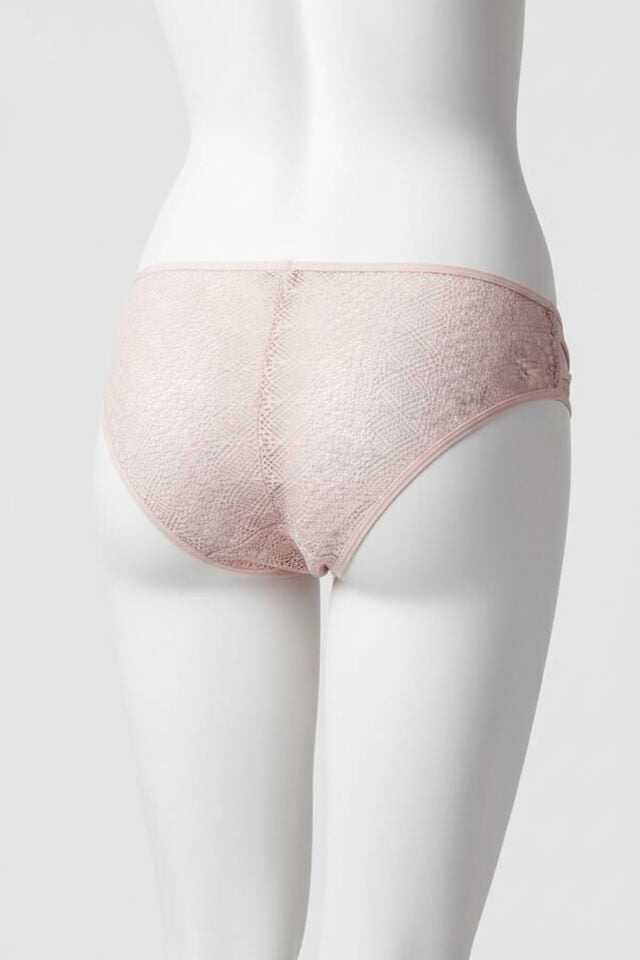 Arias Closet Transparan Dantel Detaylı Somon Külot