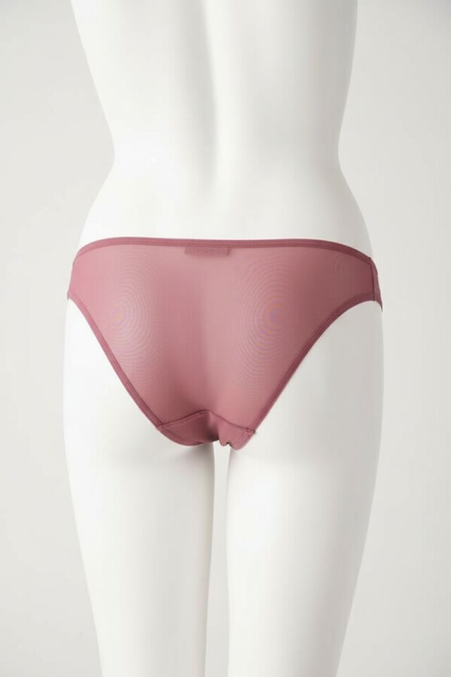 Arias Closet Vizon Nakış Desenli Taşlı Fantezi Tanga String