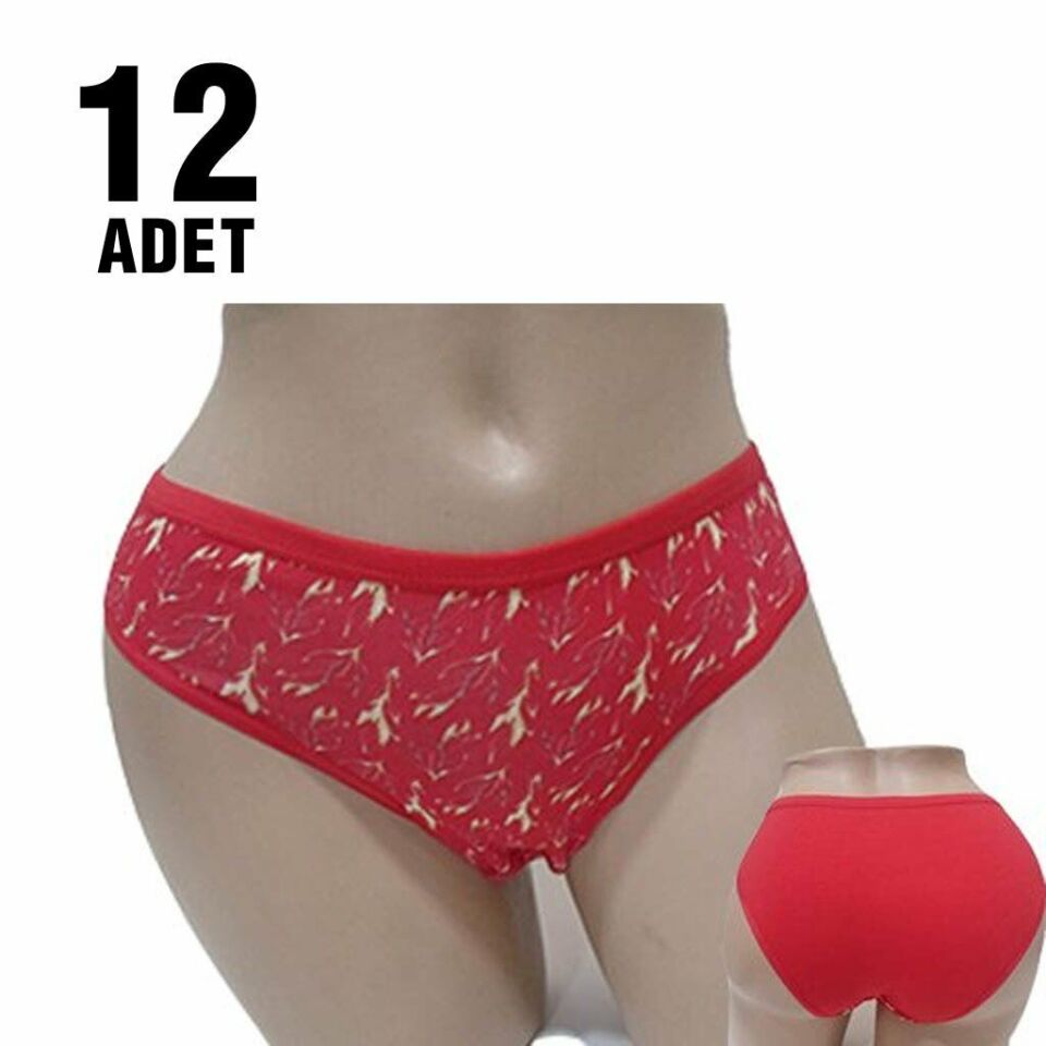 DONDEZA DON449 BAYAN FANTAZİ BİKİNİ (12 Lİ)