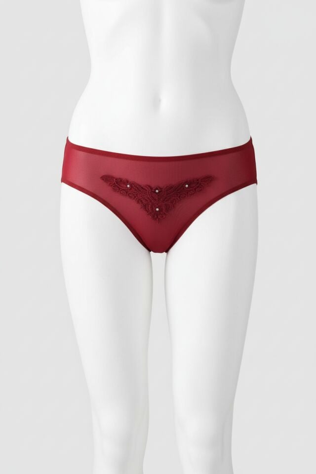 Arias Closet Güpürlü Taşlı Bordo Tül Fantezi Külot