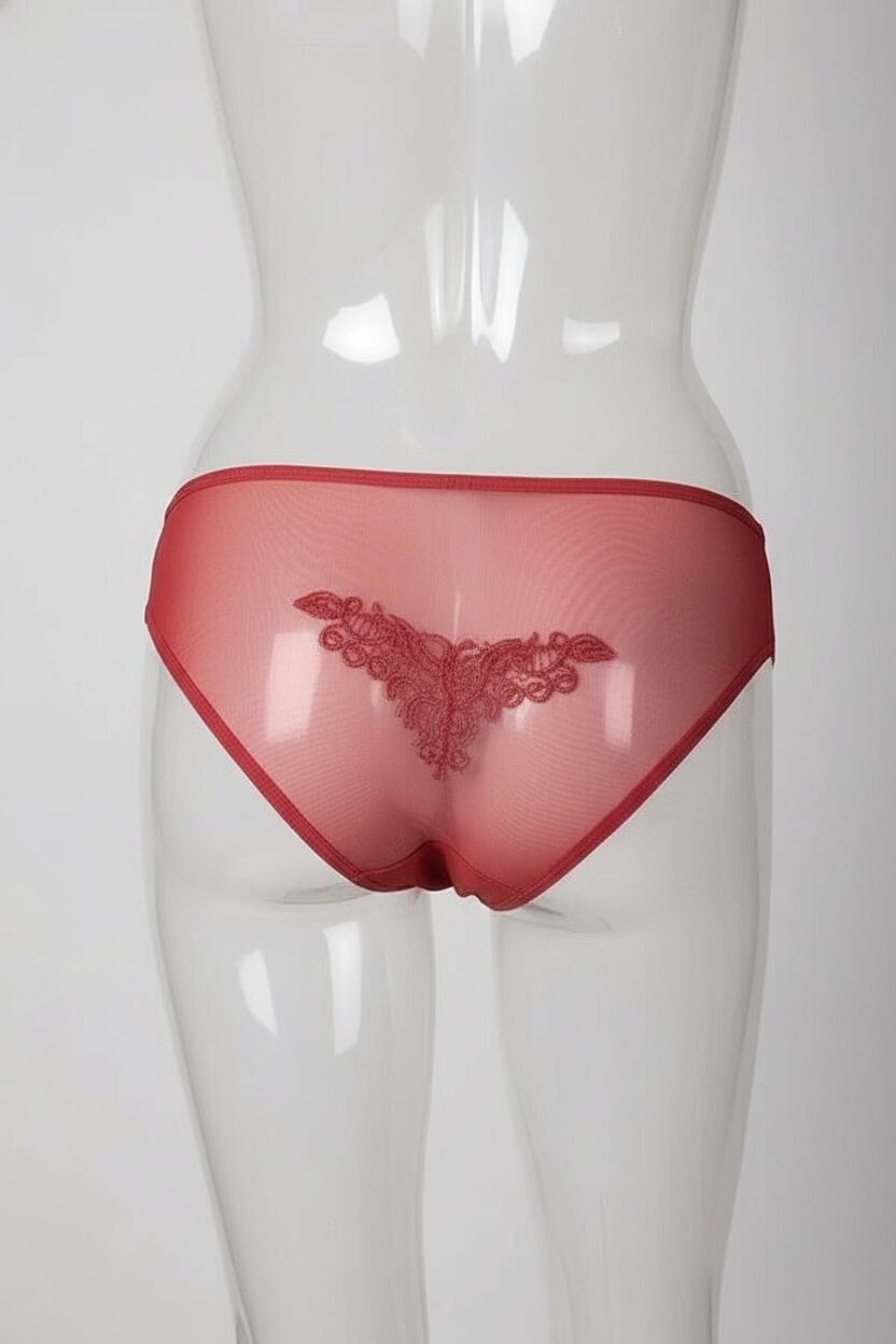 Arias Closet Güpürlü Taşlı Gül Kurusu Tül Fantezi Külot