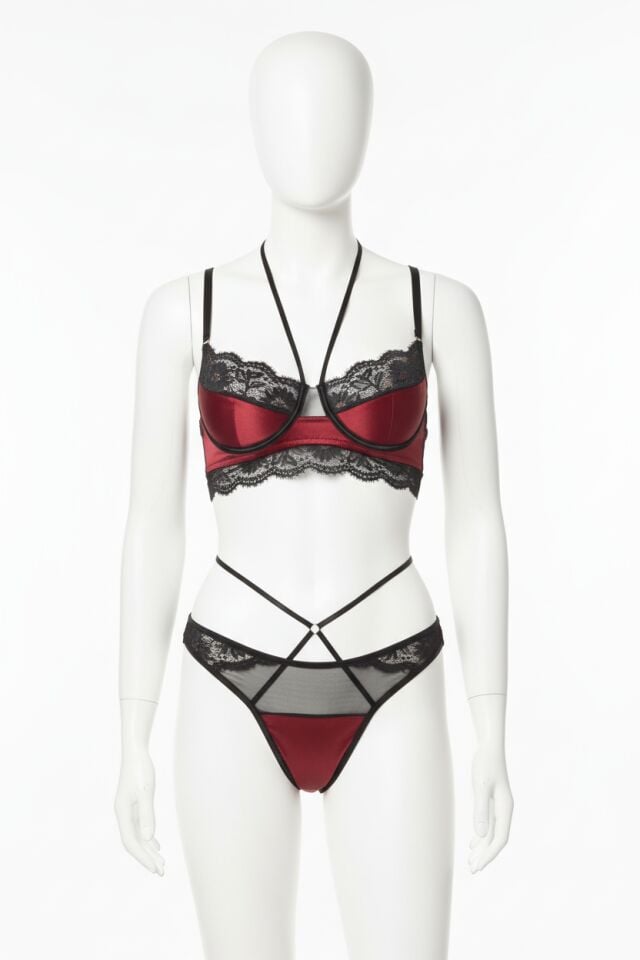 Arias Closet Bordo Dantel İşlemeli Fantezi Sütyen Külot Takımı