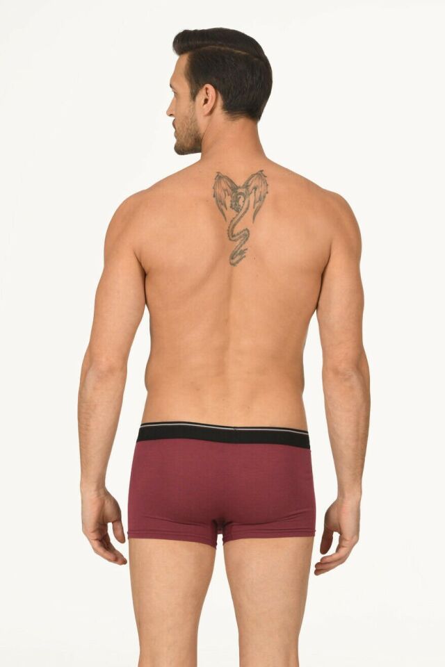 Nbb 735 Erkek Modal Boxer