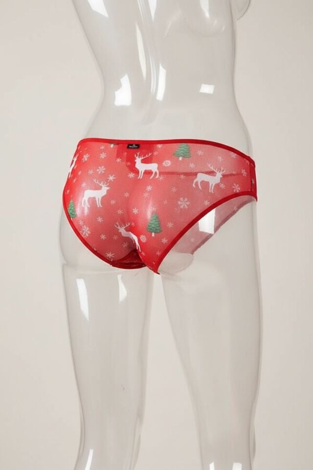 Arias Closet Yılbaşı Desenli Özel Bölgesi Açık Fantezi Tanga String
