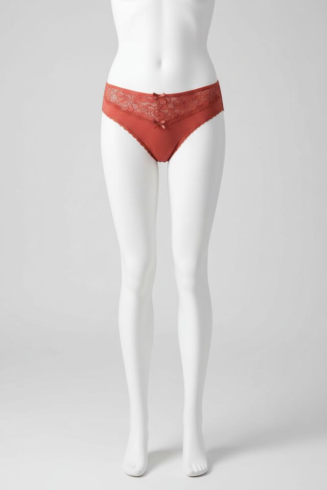 Kiremit Bel Kısmı Dantel İşlemeli Külot