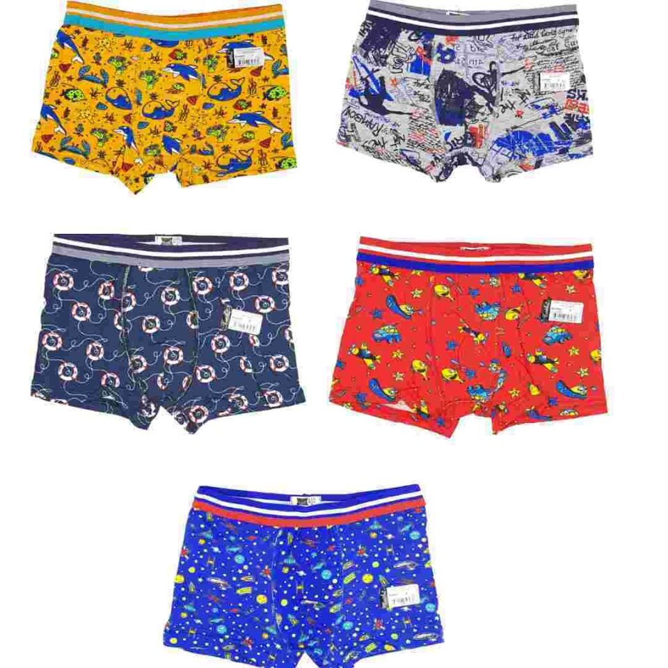 Tutku Elestan Empirme Erkek Çocuk Boxer 12'li