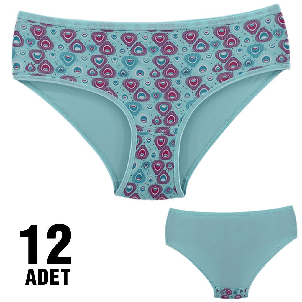 Dondeza 201-65 Desenli Bayan Ara Beden Külot 12'li