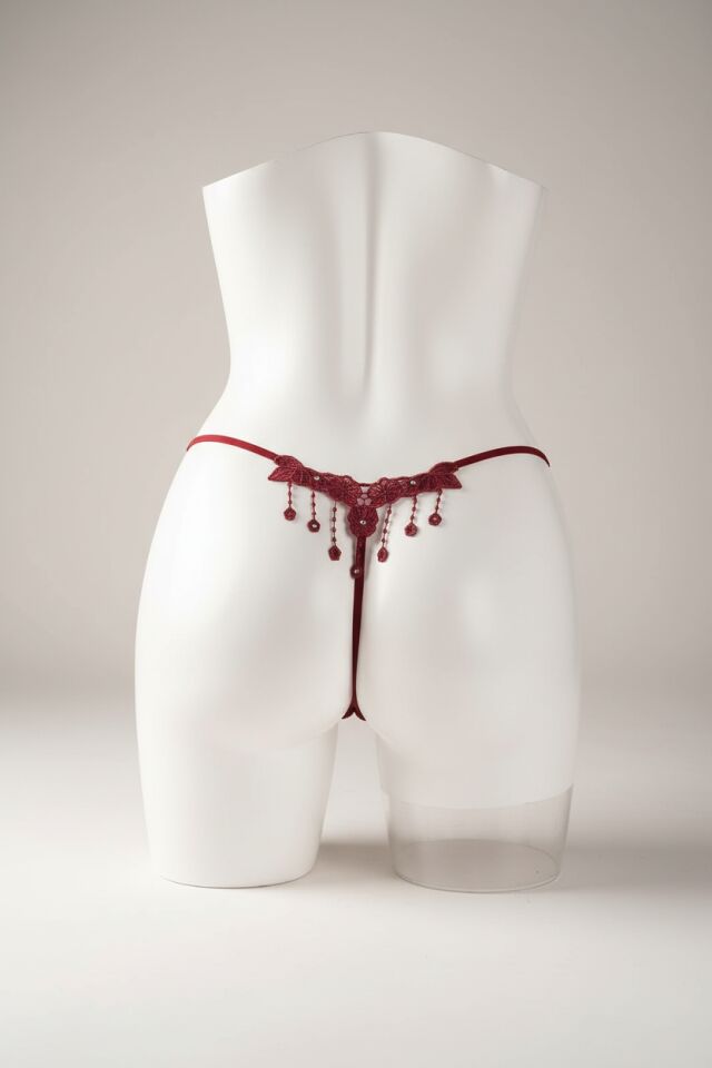 Arias Closet Kiremit Rengi Nakışlı Desenli Fantezi Tanga String