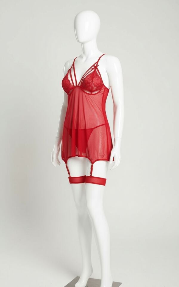 Arias Closet Kırmızı Dantel İşlemeli Göğüs İp Detaylı Fantezi Jartiyer Takımı