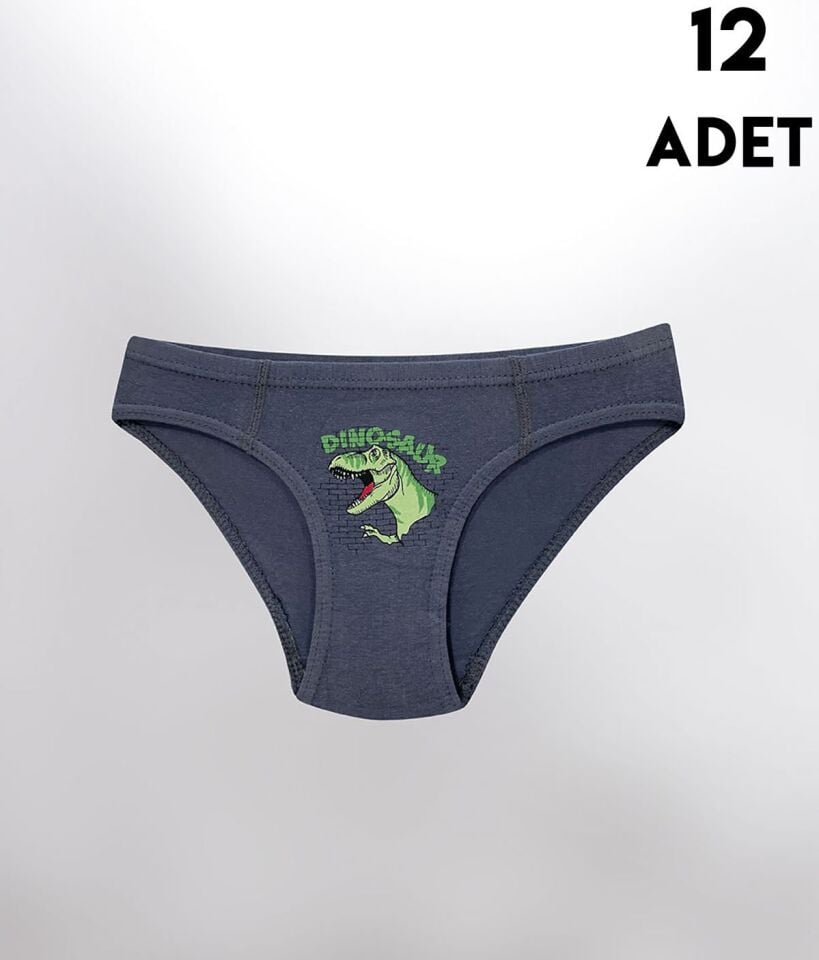 Kota 1019 Baskılı Erkek Çocuk Külot 12'li