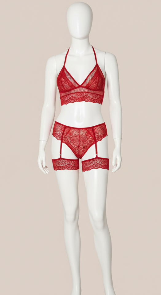 Kırmızı Dantel İşlemeli Fantezi Fileli Jartiyer Takım